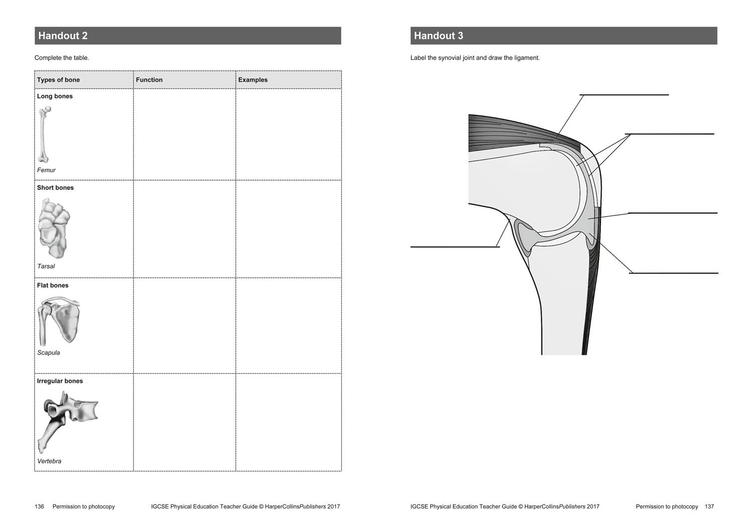 Bild: 9780008202170 | Cambridge IGCSE Physical Education: Teacher Guide | Fraser (u. a.)