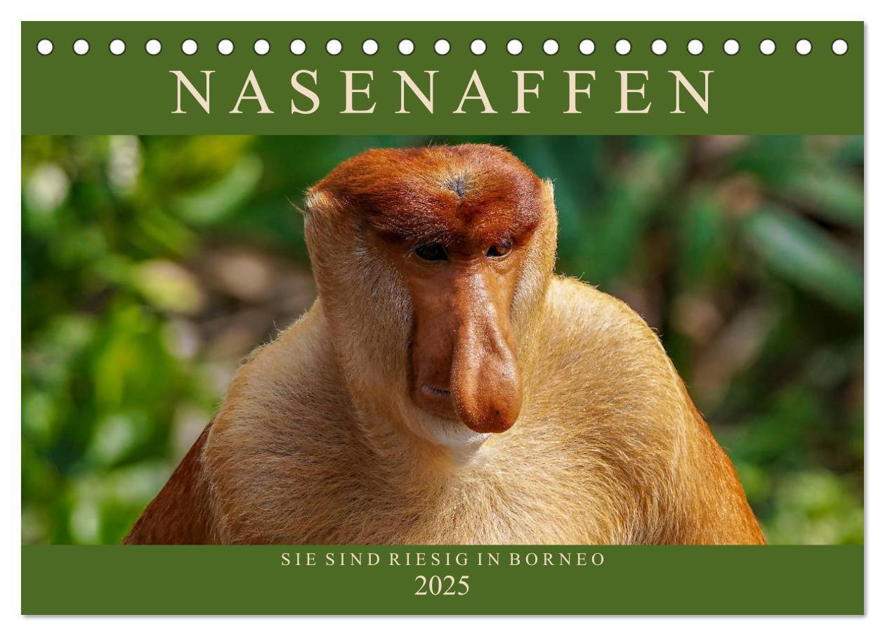 Cover: 9783435218004 | Nasenaffen von Borneo (Tischkalender 2025 DIN A5 quer), CALVENDO...