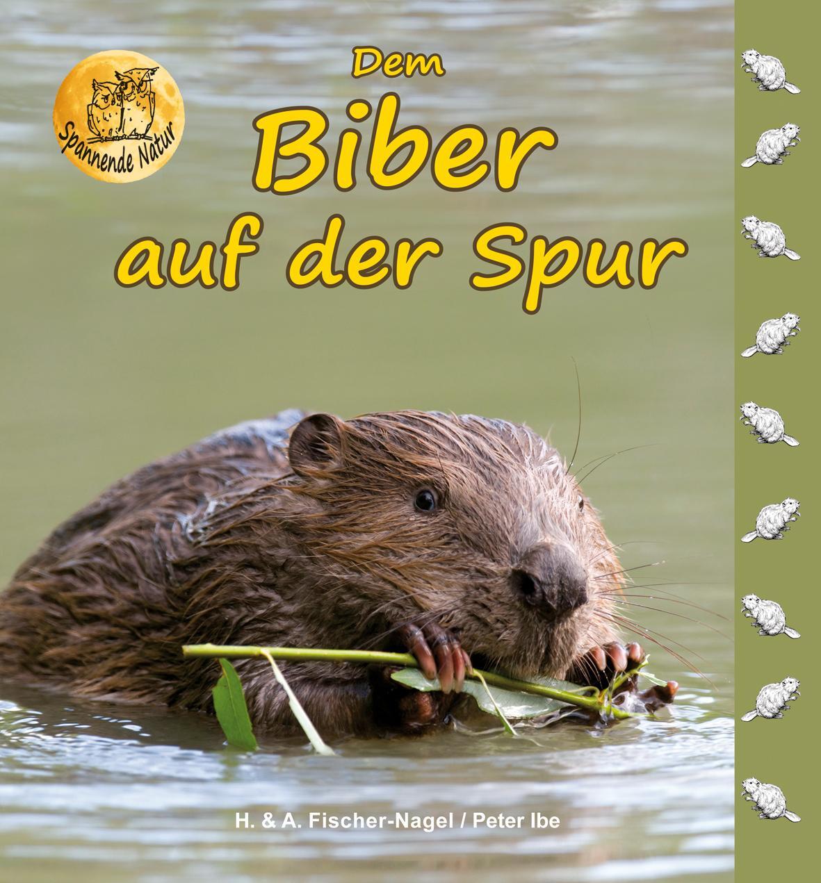 Cover: 9783930038732 | Dem Biber auf der Spur | Heiderose Fischer-Nagel | Buch | 46 S. | 2018