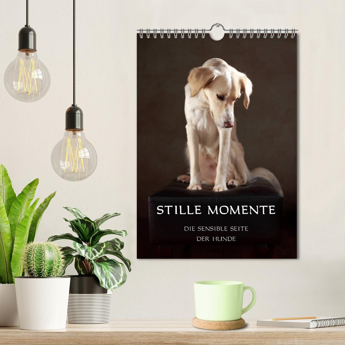 Bild: 9783435998777 | Stille Momente - Die sensible Seite der Hunde (Wandkalender 2025...