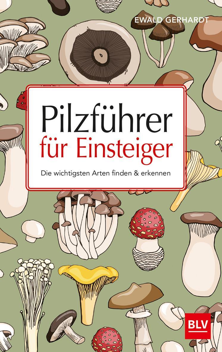 Cover: 9783835416758 | Pilzführer für Einsteiger | Die wichtigsten Arten finden &amp; erkennen