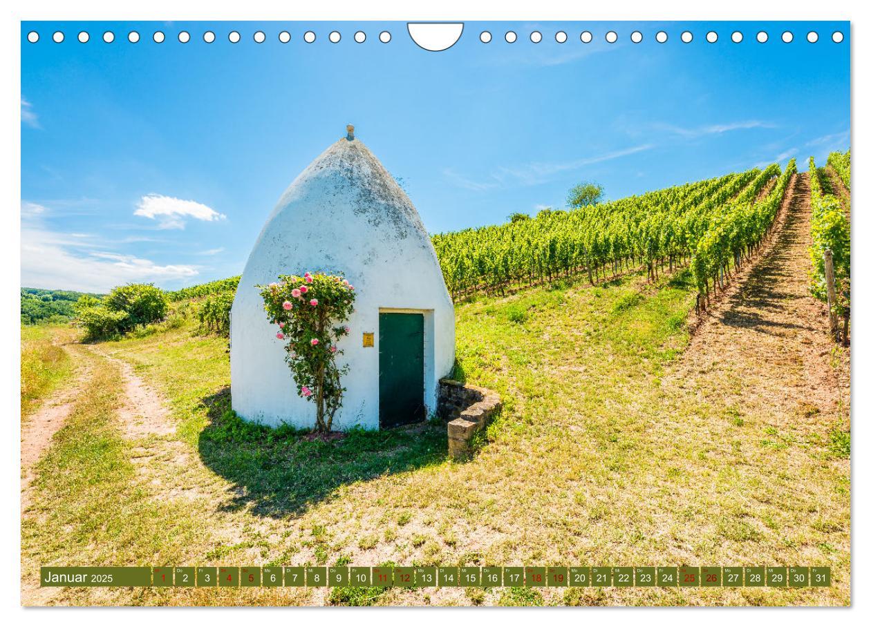 Bild: 9783383923791 | Weinberg-Architektur in Rheinhessen (Wandkalender 2025 DIN A4...