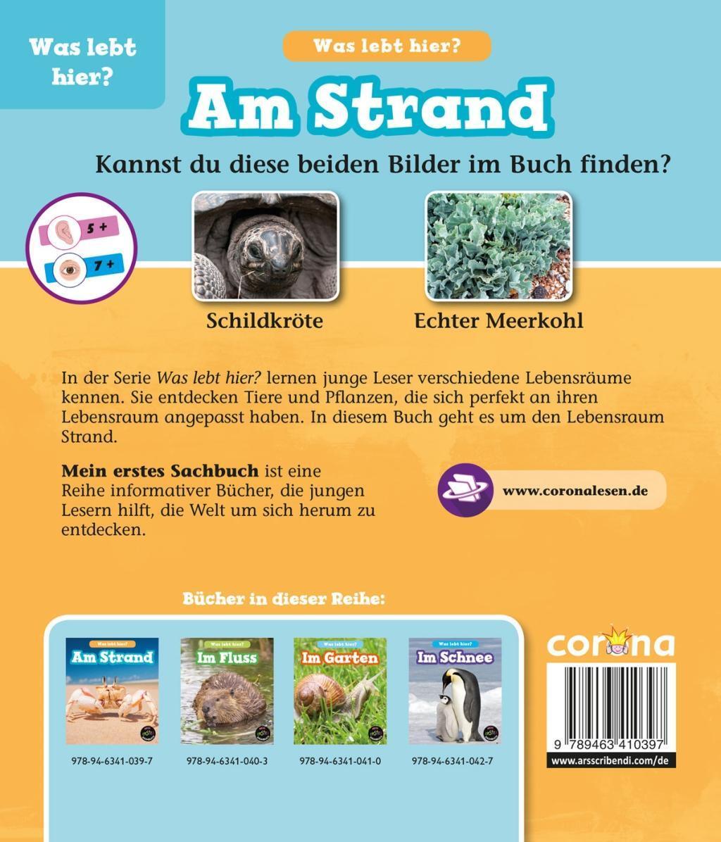 Bild: 9789463410397 | Am Strand, Was lebt hier? | John-Paul Wilkins | Buch | Was lebt hier?