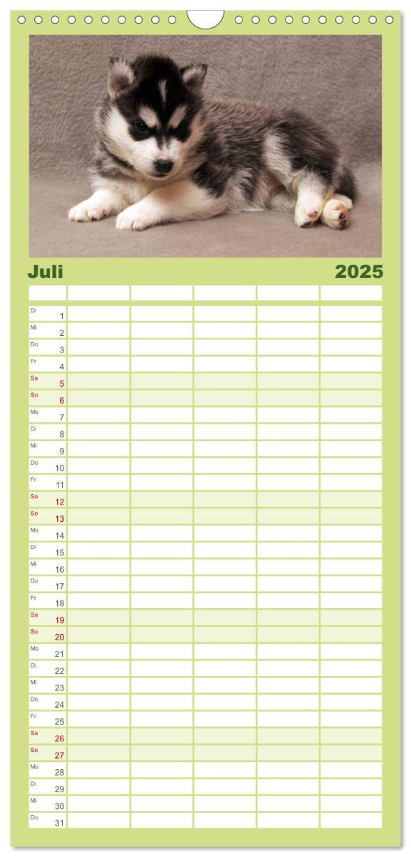 Bild: 9783457109922 | Familienplaner 2025 - Husky Welpen mit 5 Spalten (Wandkalender, 21...