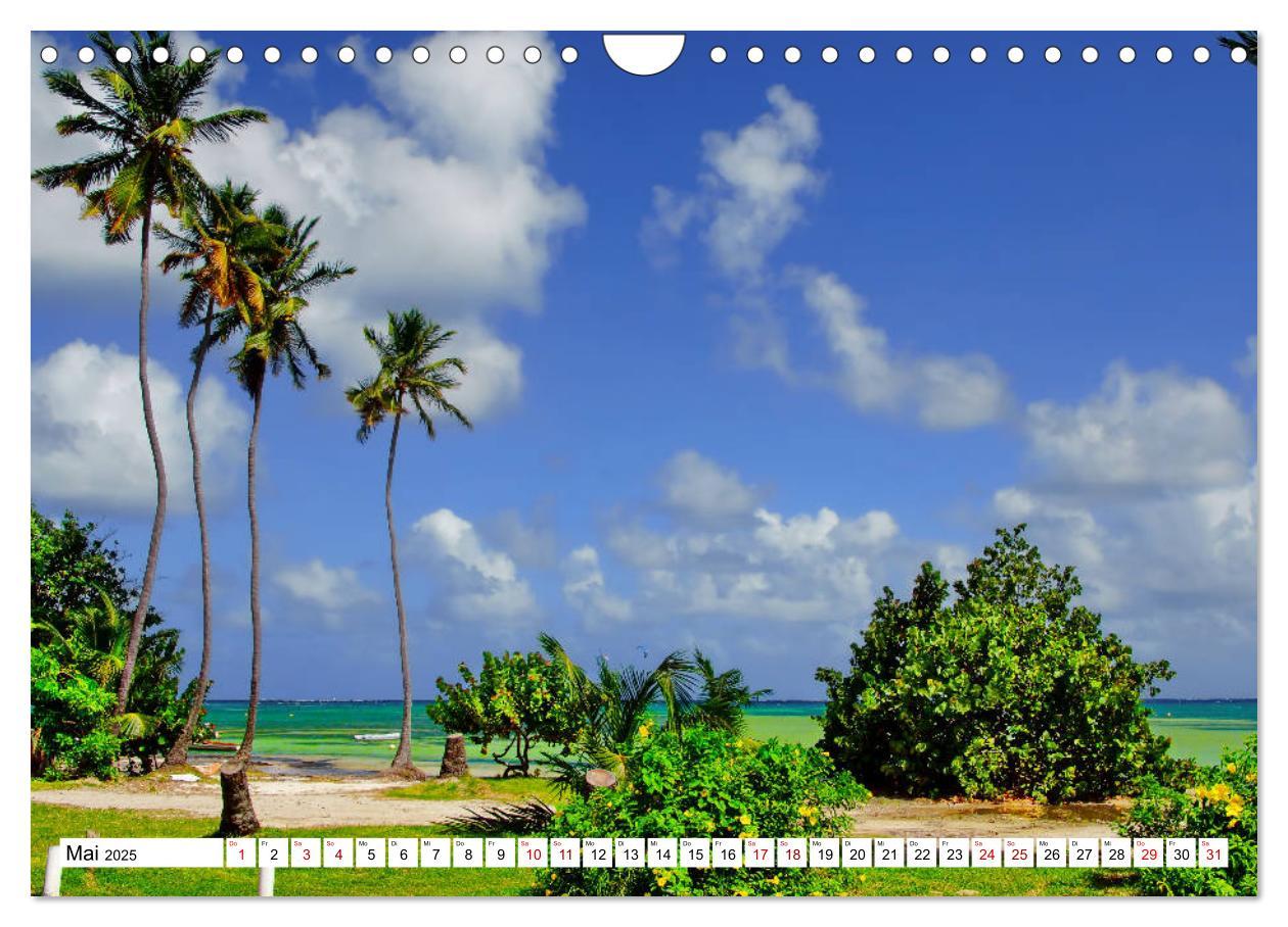 Bild: 9783435380435 | Martinique, die Traumstrände (Wandkalender 2025 DIN A4 quer),...