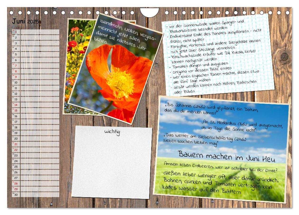 Bild: 9783435133116 | Was ist noch im Garten zu tun? (Wandkalender 2025 DIN A4 quer),...