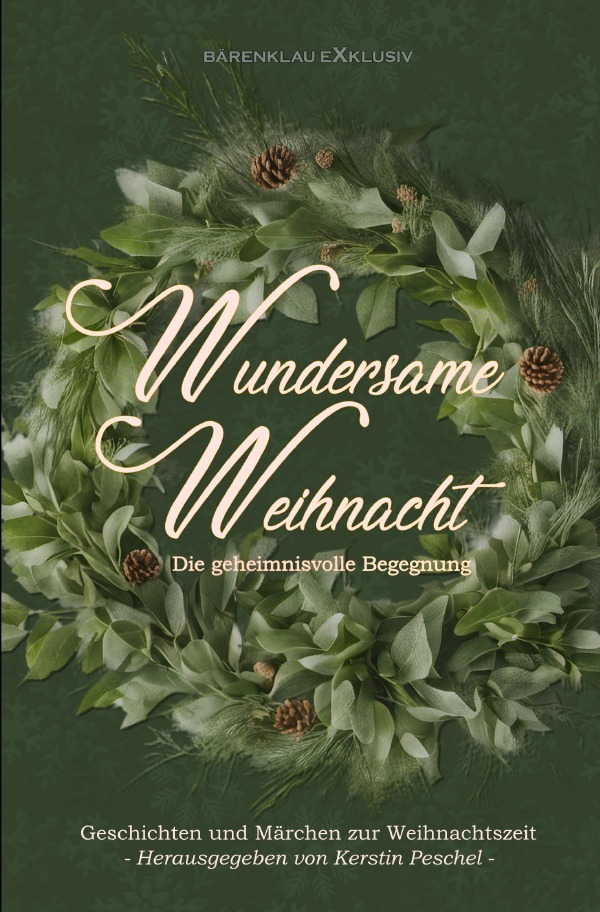 Cover: 9783818739676 | Wundersame Weihnacht - Die geheimnisvolle Begegnung: Geschichten...