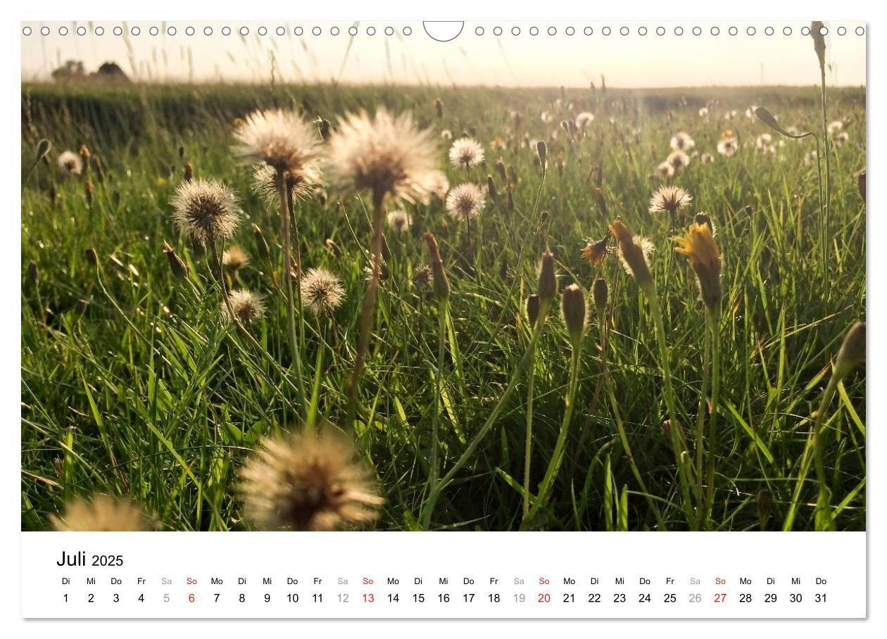 Bild: 9783435570010 | Hallig Hooge - zwischen Himmel und Erde (Wandkalender 2025 DIN A3...