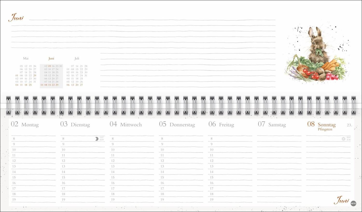 Bild: 9783756406616 | Hannah Dale : Wochenquerplaner 2025 | Hannah Dale | Kalender | 112 S.