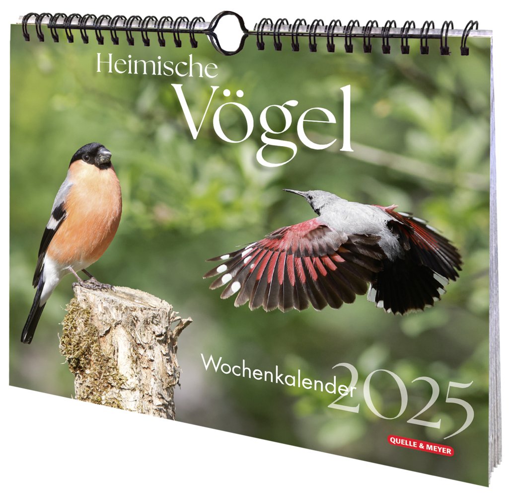 Cover: 4260098550436 | Heimische Vögel 2025 | Wochenkalender | Quelle &amp; Meyer Verlag | 53 S.