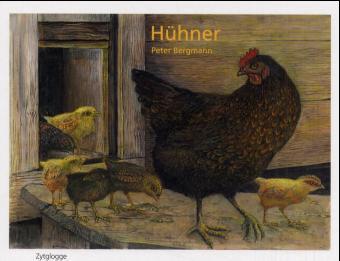 Cover: 9783729606036 | Hühner | Bilderbuch | Peter Bergmann | Gebunden | Deutsch | 2000