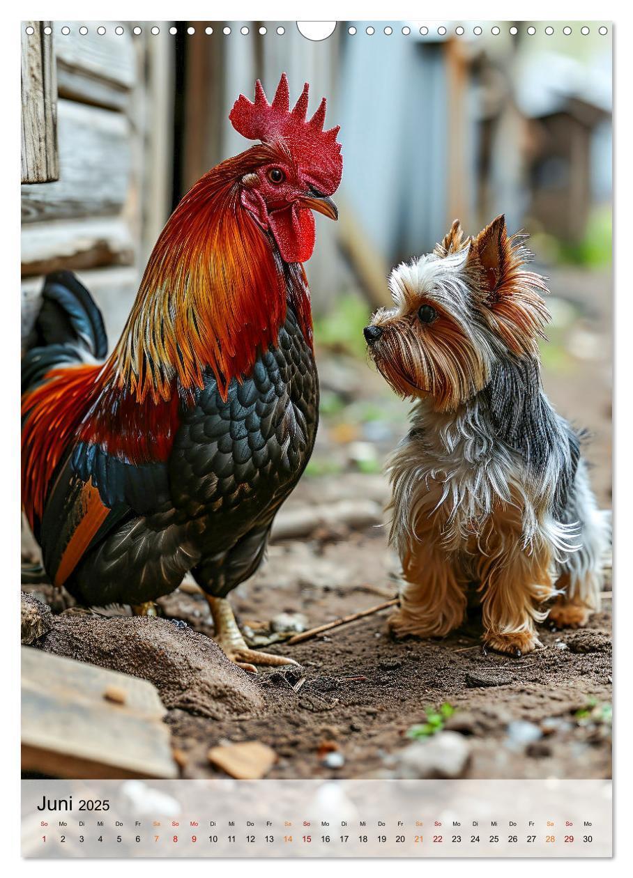 Bild: 9783383771712 | Yorkshire Terrier - ein Hund mit starkem Charakter (Wandkalender...