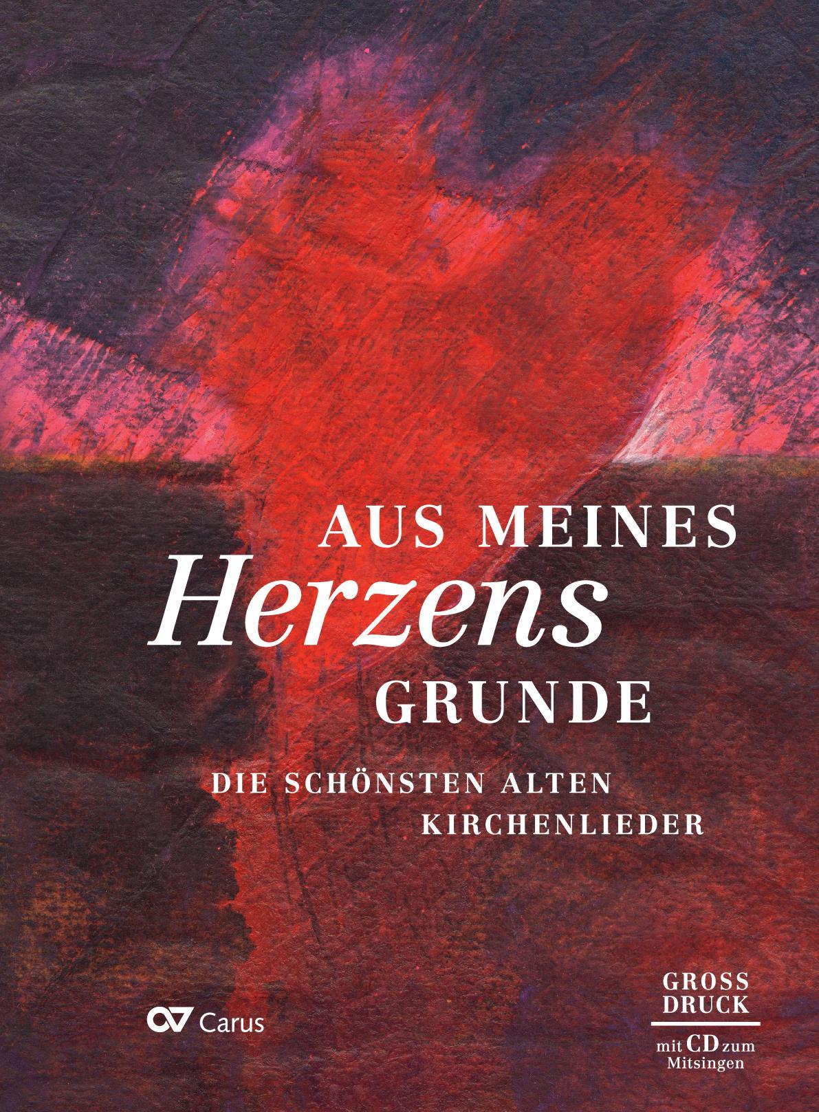 Cover: 9783899484489 | Aus meines Herzens Grunde | Liederbuch im Großdruck inkl. CD | Buch