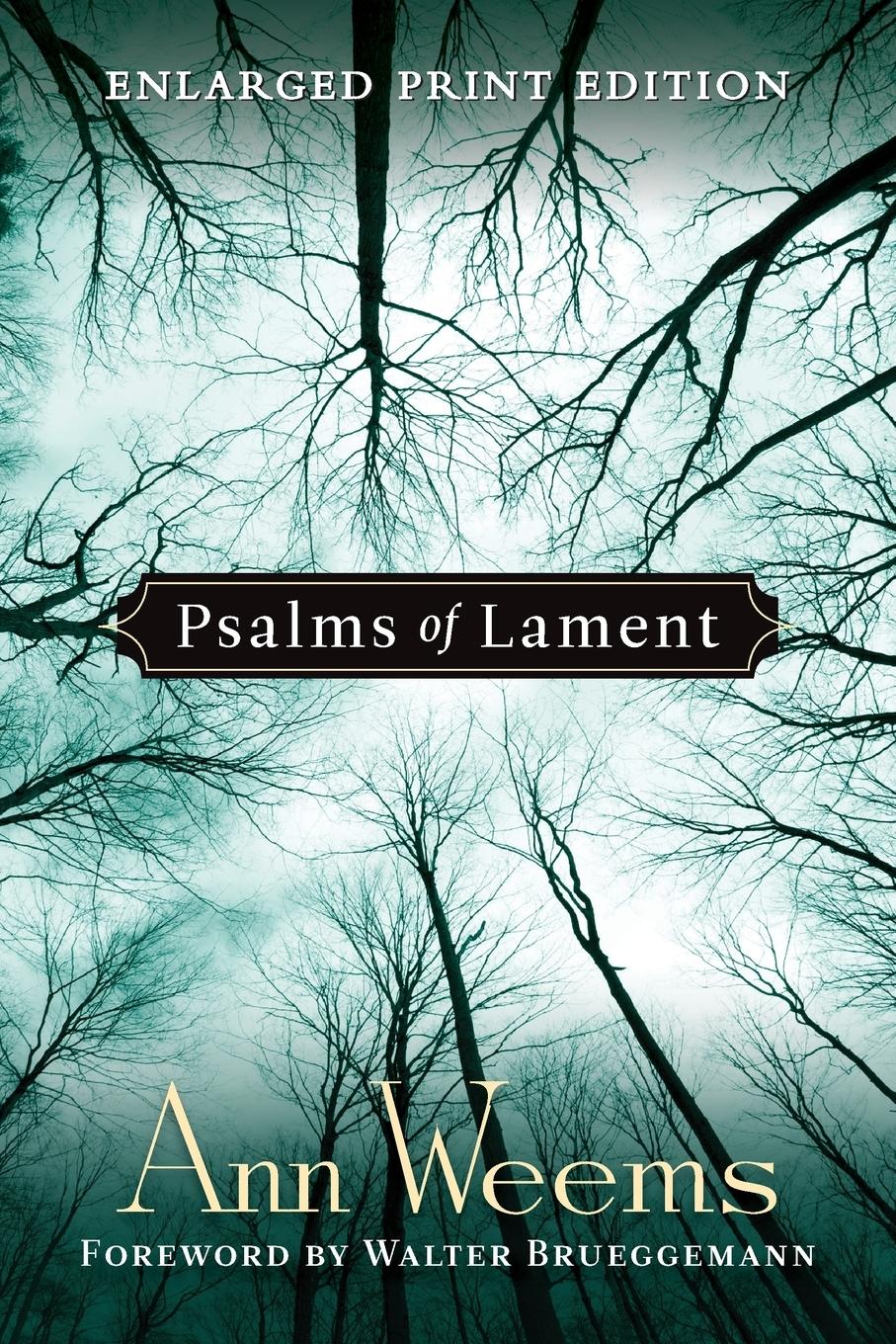 Cover: 9780664258313 | Psalms of Lament | Ann Weems | Taschenbuch | Englisch | 1999