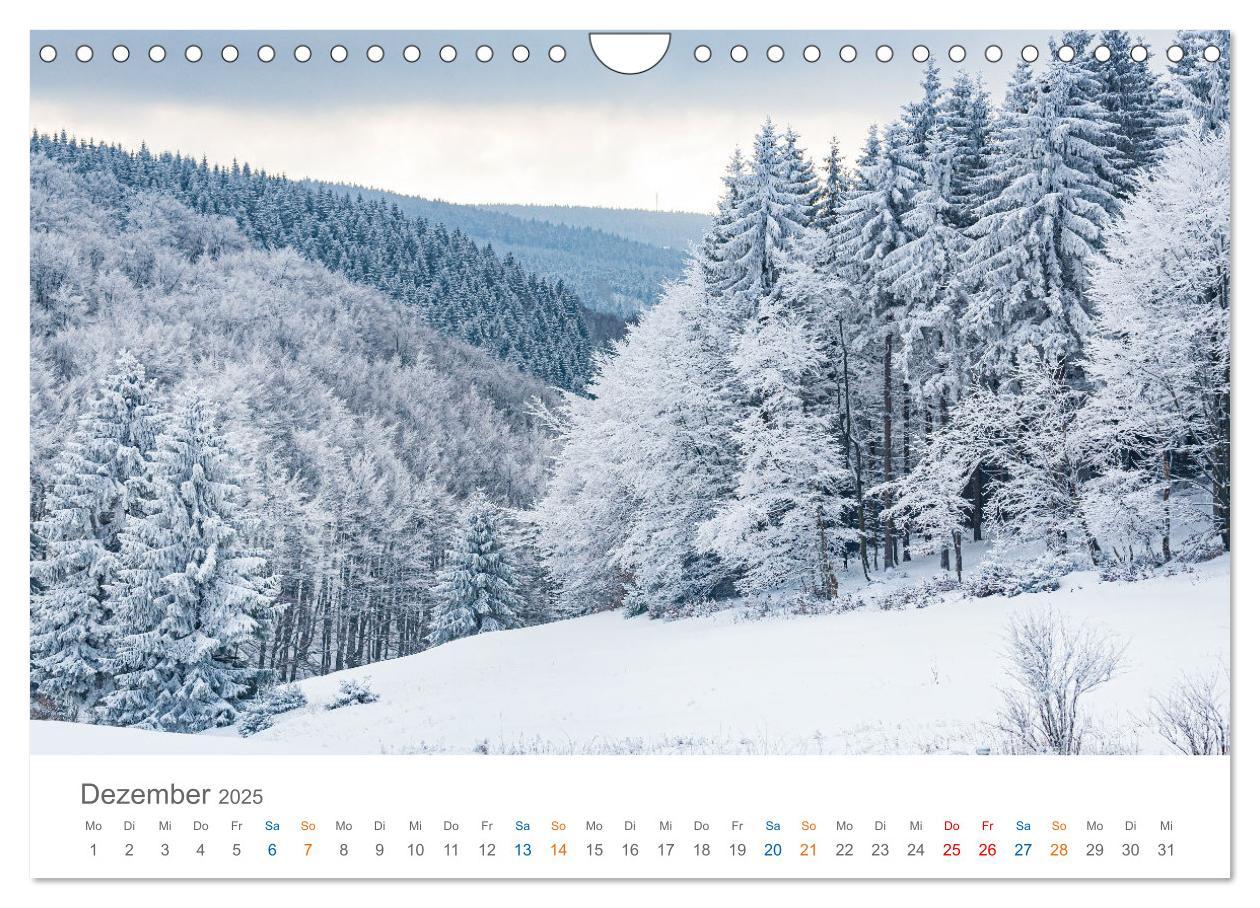 Bild: 9783457142318 | Rennsteig - Weitwanderweg (Wandkalender 2025 DIN A4 quer), CALVENDO...