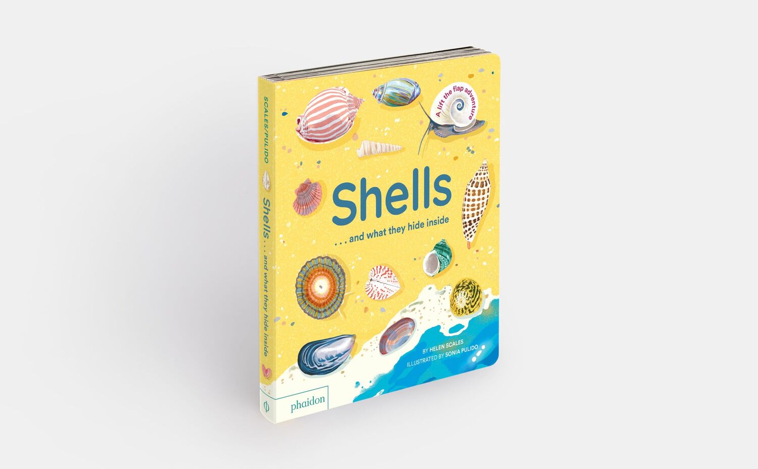 Bild: 9781838667887 | Shells... and what they hide inside | A Lift-the-Flap Adventure | Buch