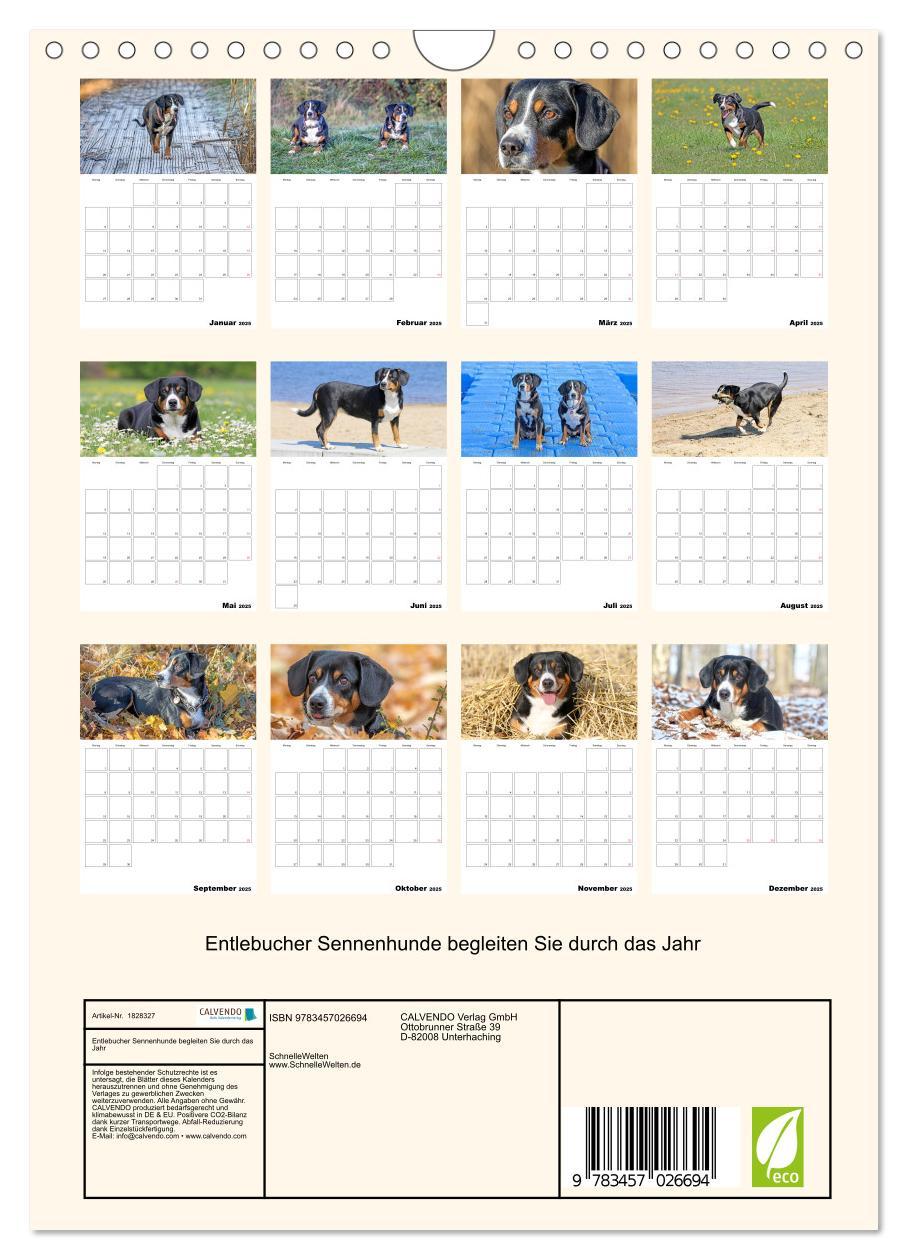 Bild: 9783457026694 | Entlebucher Sennenhunde begleiten Sie durch das Jahr (Wandkalender...