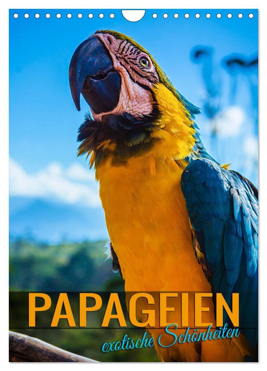 Cover: 9783435887248 | Papageien - exotische Schönheiten (Wandkalender 2025 DIN A4 hoch),...