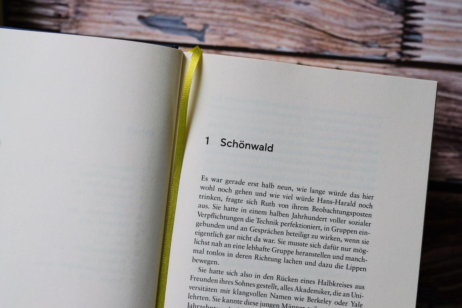 Bild: 9783492071901 | Schönwald | Philipp Oehmke | Buch | 544 S. | Deutsch | 2023