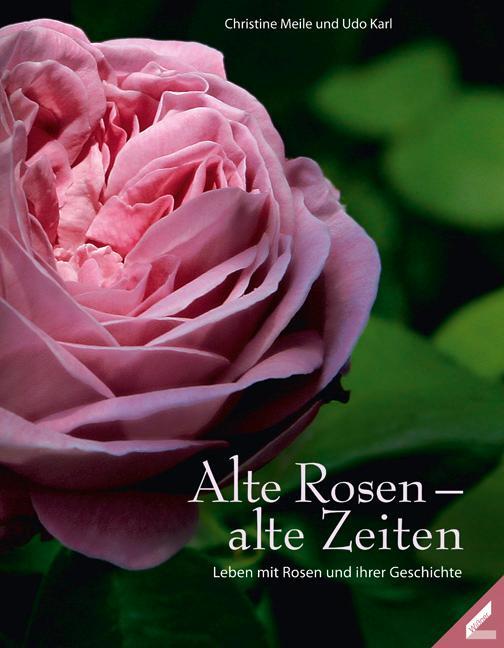 Cover: 9783896399311 | Alte Rosen - alte Zeiten | Leben mit Rosen und ihren Geschichten