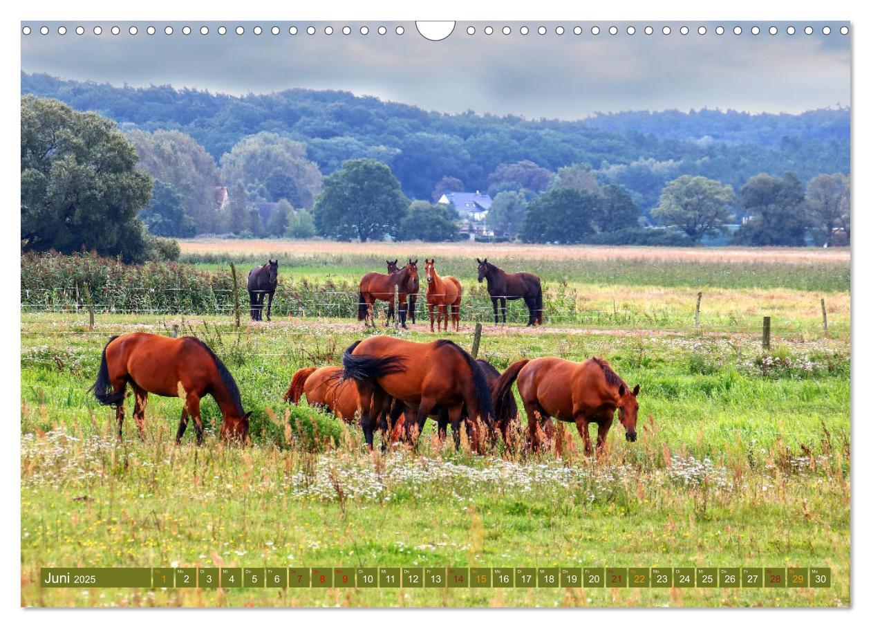 Bild: 9783435351947 | Im schönen Havelland (Wandkalender 2025 DIN A3 quer), CALVENDO...