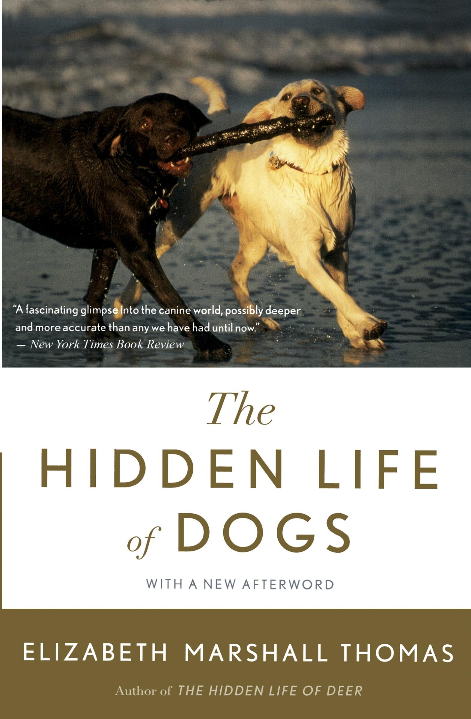 Cover: 9780547416854 | Hidden Life of Dogs, The | Elizabeth Marshall Thomas | Taschenbuch