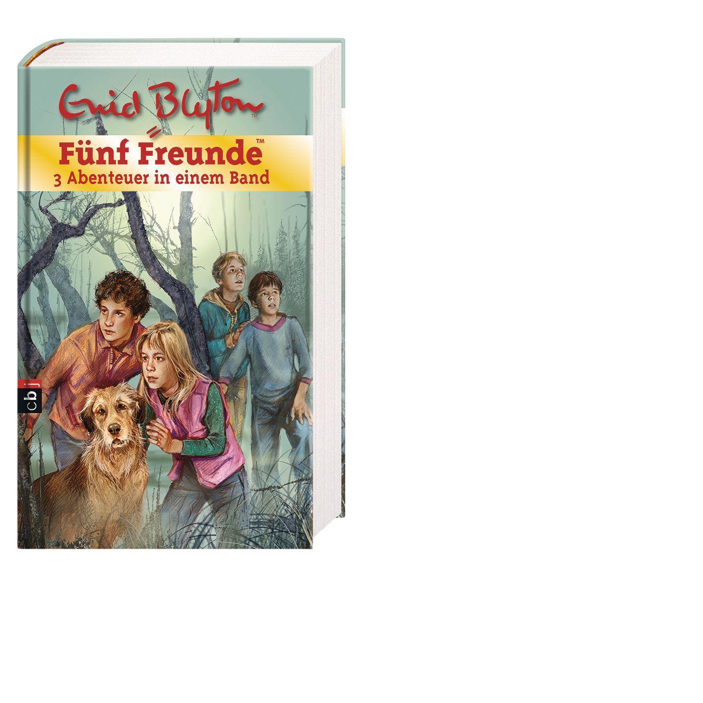 Bild: 9783570157886 | Fünf Freunde. Sammelband 01 | 3 Abenteuer in einem Band | Enid Blyton