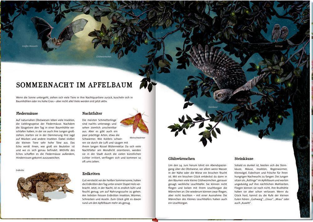 Bild: 9783649637752 | Das große Buch vom Apfelbaum | Holger Haag | Buch | Nature Zoom | 2023