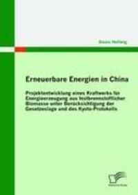 Cover: 9783836683807 | Erneuerbare Energien in China: Projektentwicklung eines Kraftwerks...