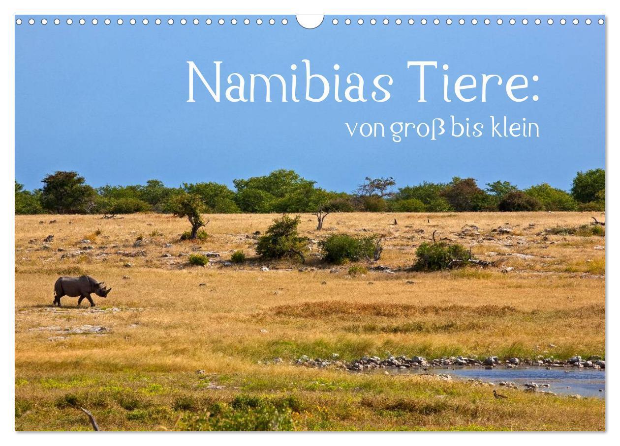 Cover: 9783435777280 | Namibias Tiere: von groß bis klein (Wandkalender 2025 DIN A3 quer),...