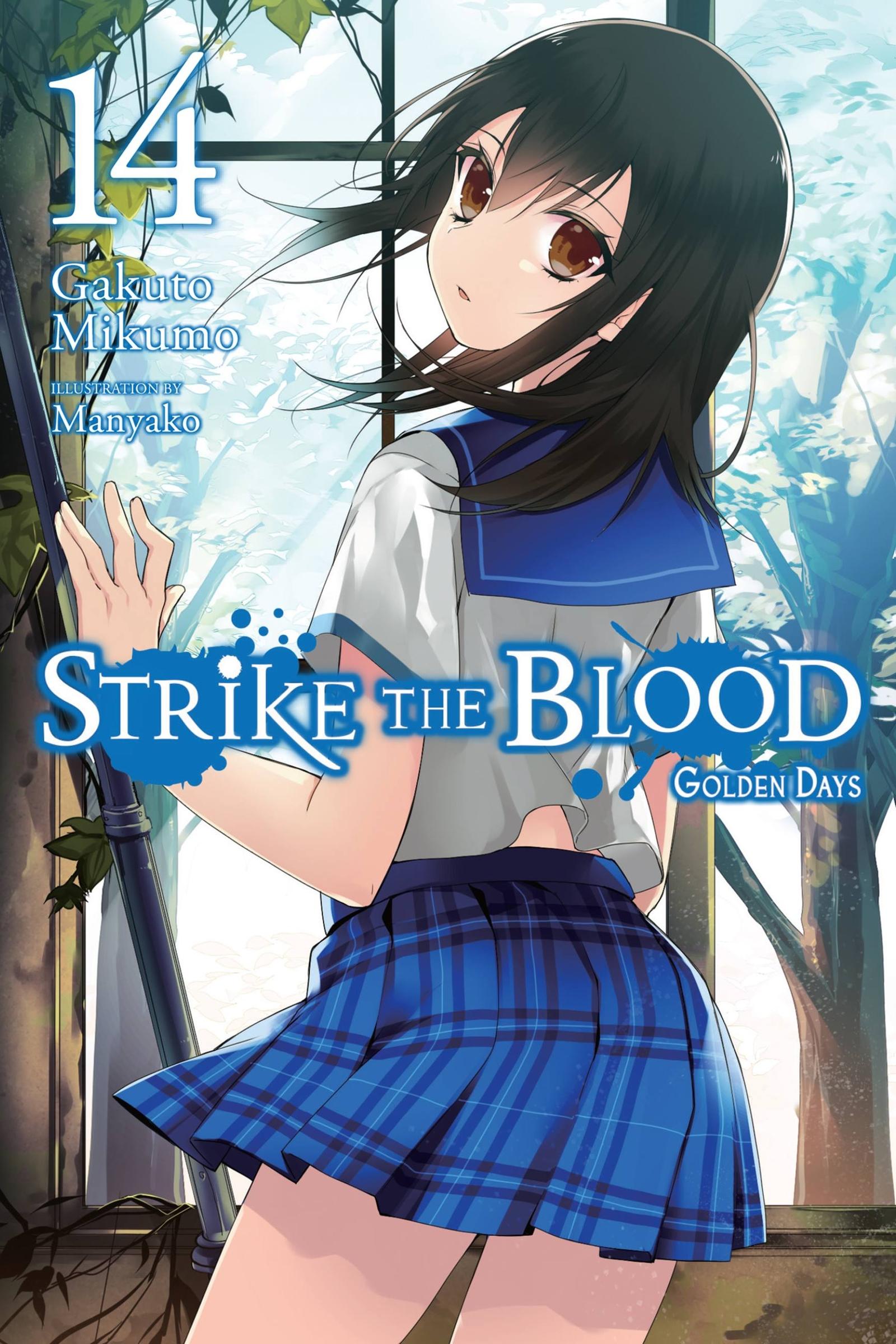 Cover: 9781975332587 | Strike the Blood, Vol. 14 (light novel) | Mikumo | Taschenbuch | 2020