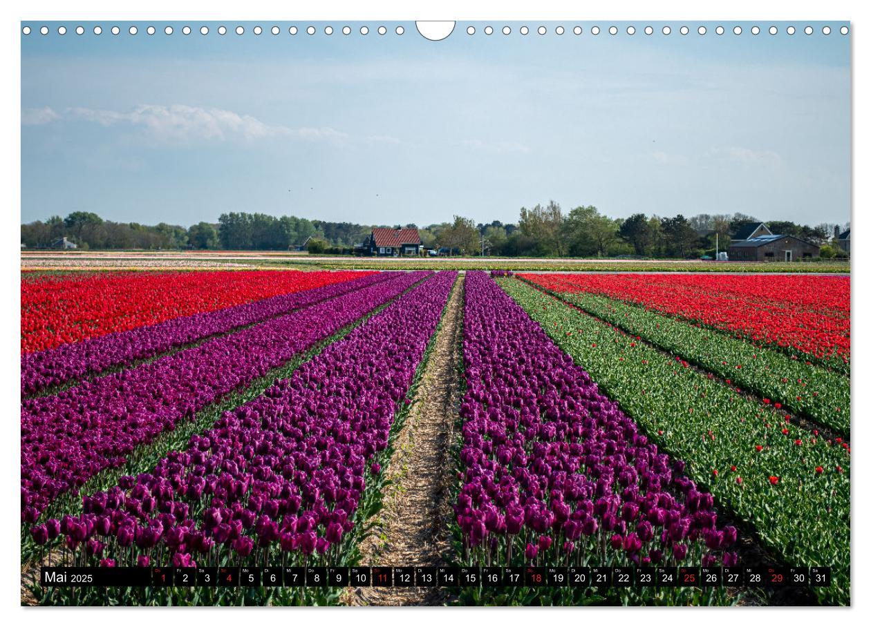 Bild: 9783435275175 | Egmond aan Zee - Natürlich (Wandkalender 2025 DIN A3 quer),...