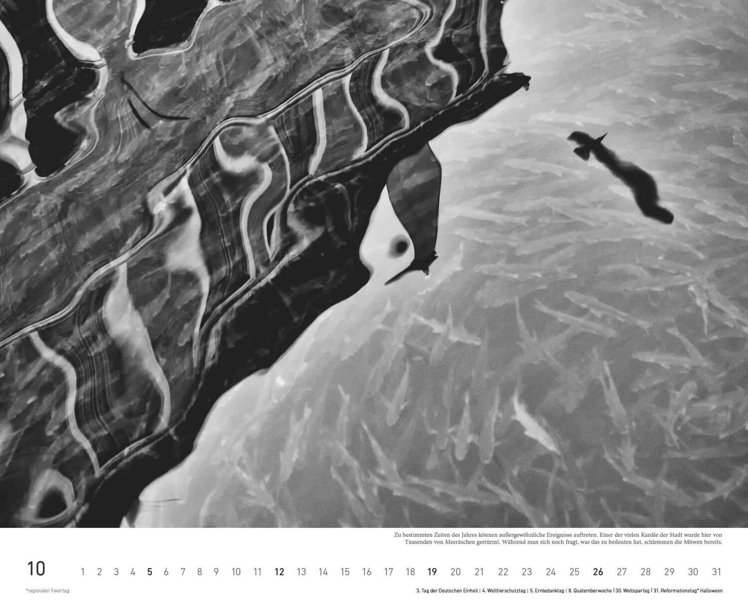 Bild: 4002725995391 | teNeues - Venezia 2025 Wandkalender, 52x42,5cm, Kalender mit...