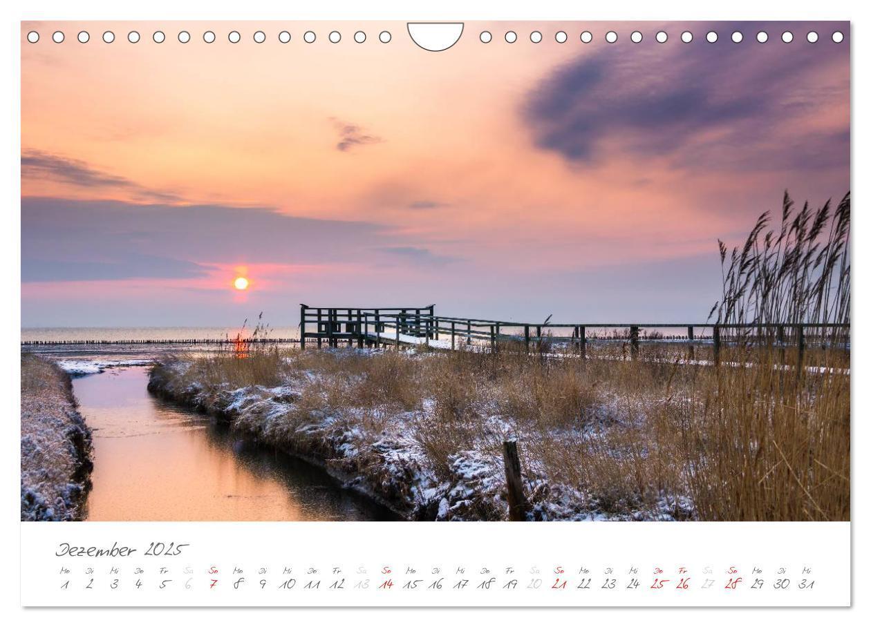 Bild: 9783435601738 | Amrum - Eine farbenfrohe Insellandschaft (Wandkalender 2025 DIN A4...