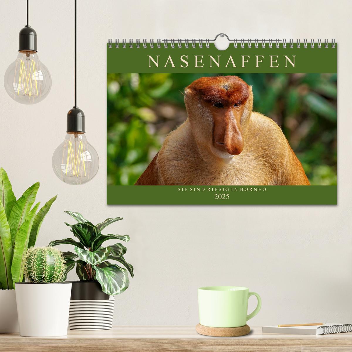 Bild: 9783435219490 | Nasenaffen von Borneo (Wandkalender 2025 DIN A4 quer), CALVENDO...