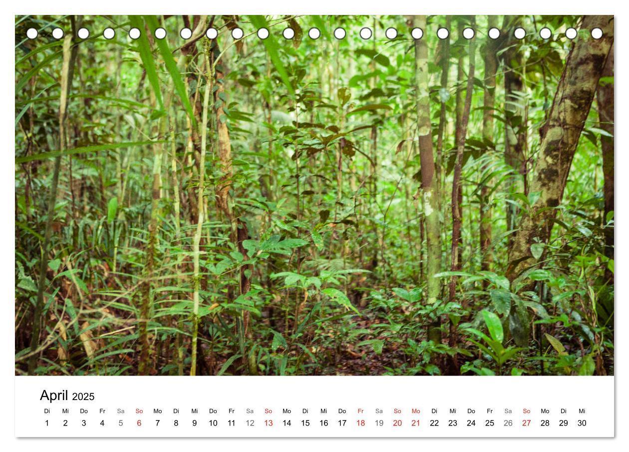 Bild: 9783435335992 | Mythos Amazonas - Naturparadies Brasiliens (Tischkalender 2025 DIN...