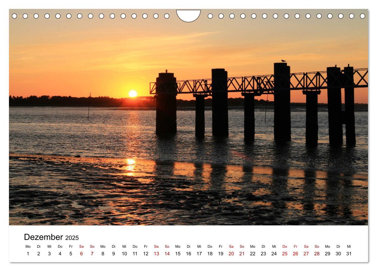 Bild: 9783435388387 | Insel Amrum - Ein Juwel unterm norddeutschen Himmel (Wandkalender...