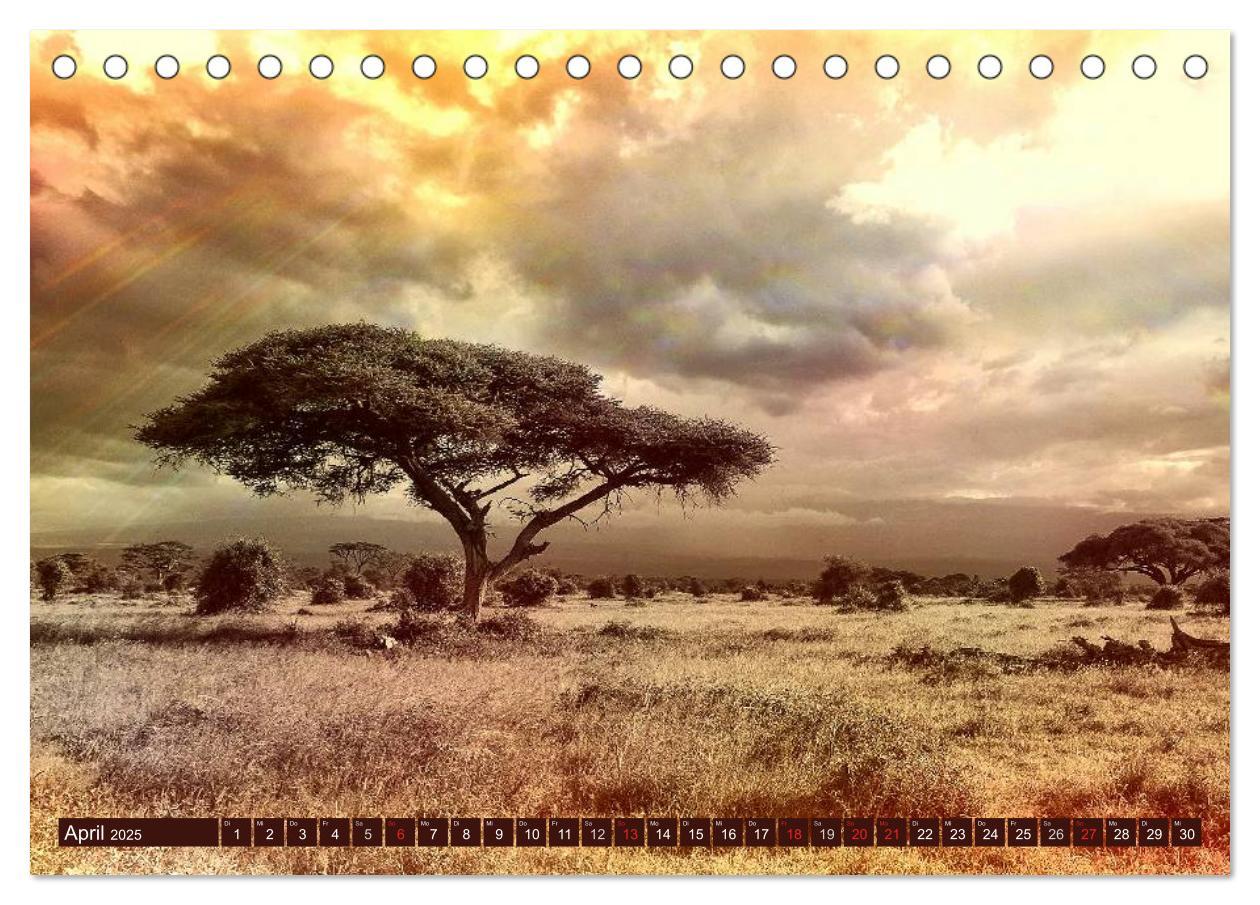 Bild: 9783435742295 | Afrika. Zauber des schwarzen Kontinents (Tischkalender 2025 DIN A5...