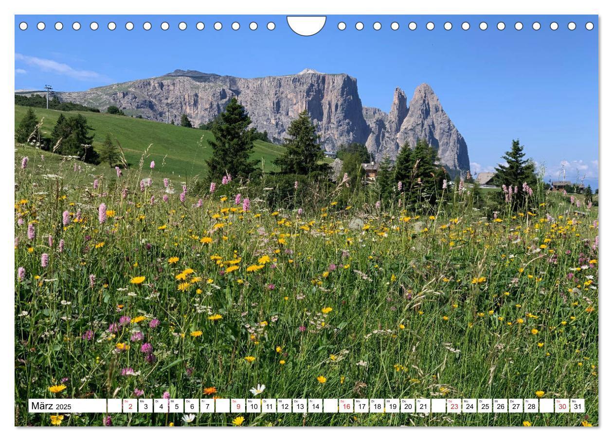 Bild: 9783435146611 | Seiser Alm Sommer (Wandkalender 2025 DIN A4 quer), CALVENDO...