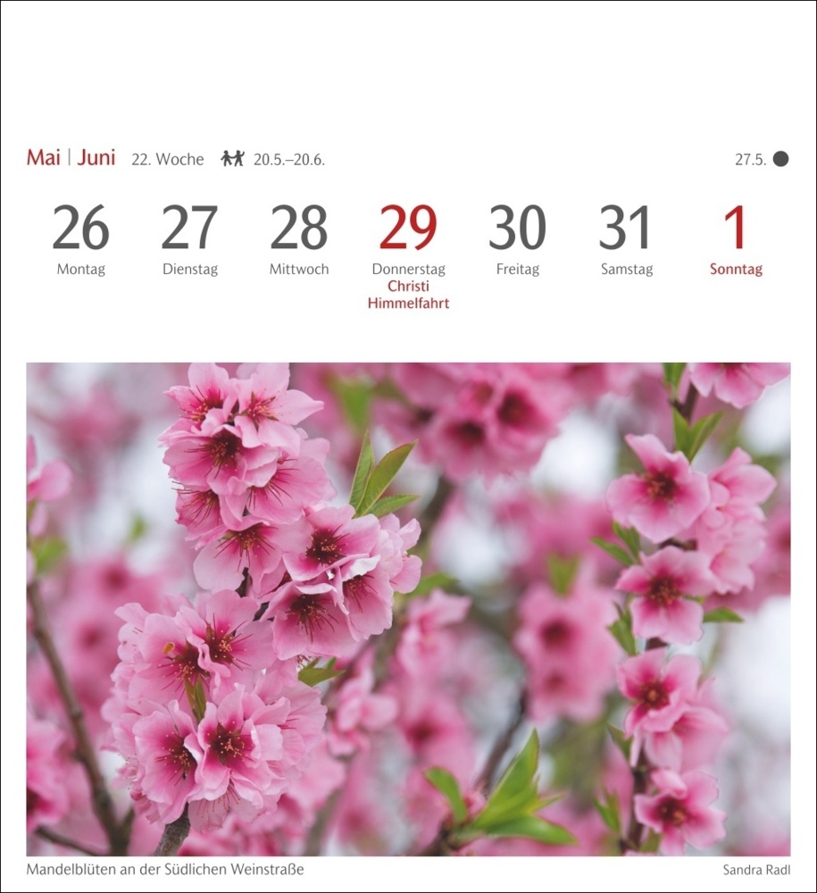 Bild: 9783840034268 | Farben der Natur Postkartenkalender 2025 - Wochenkalender mit 53...