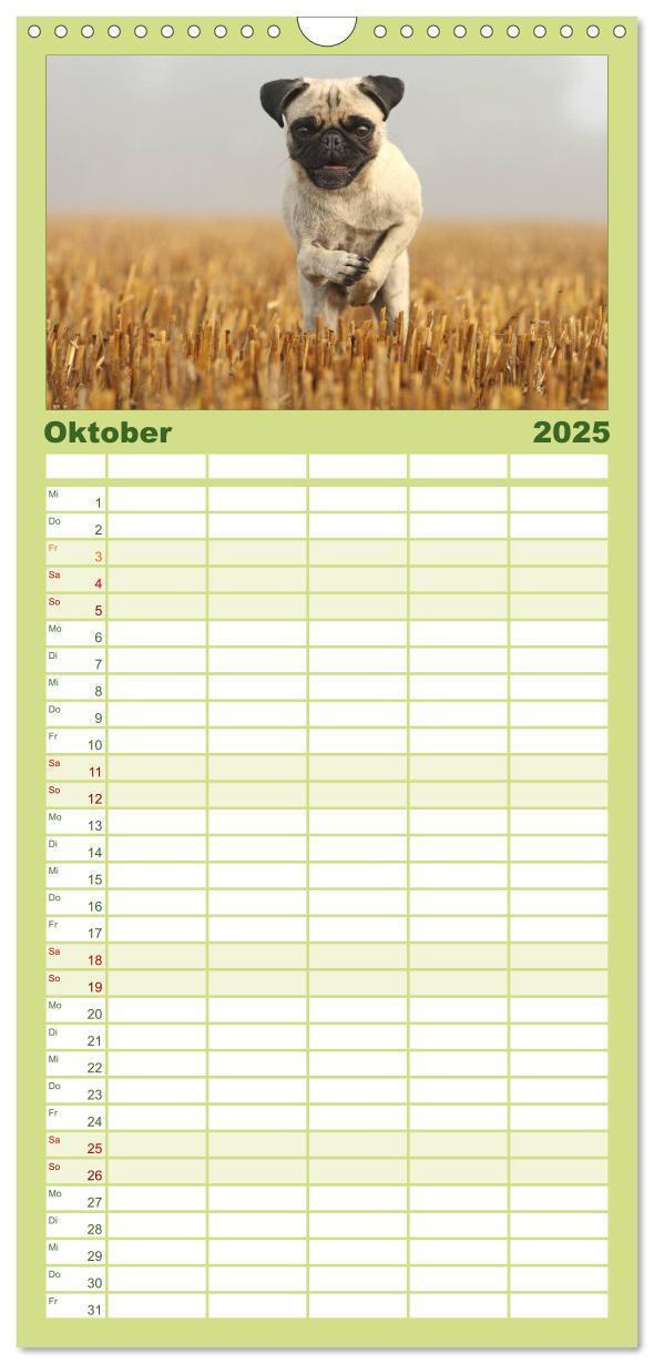 Bild: 9783457119709 | Familienplaner 2025 - Der MOPS-Kalender mit 5 Spalten...