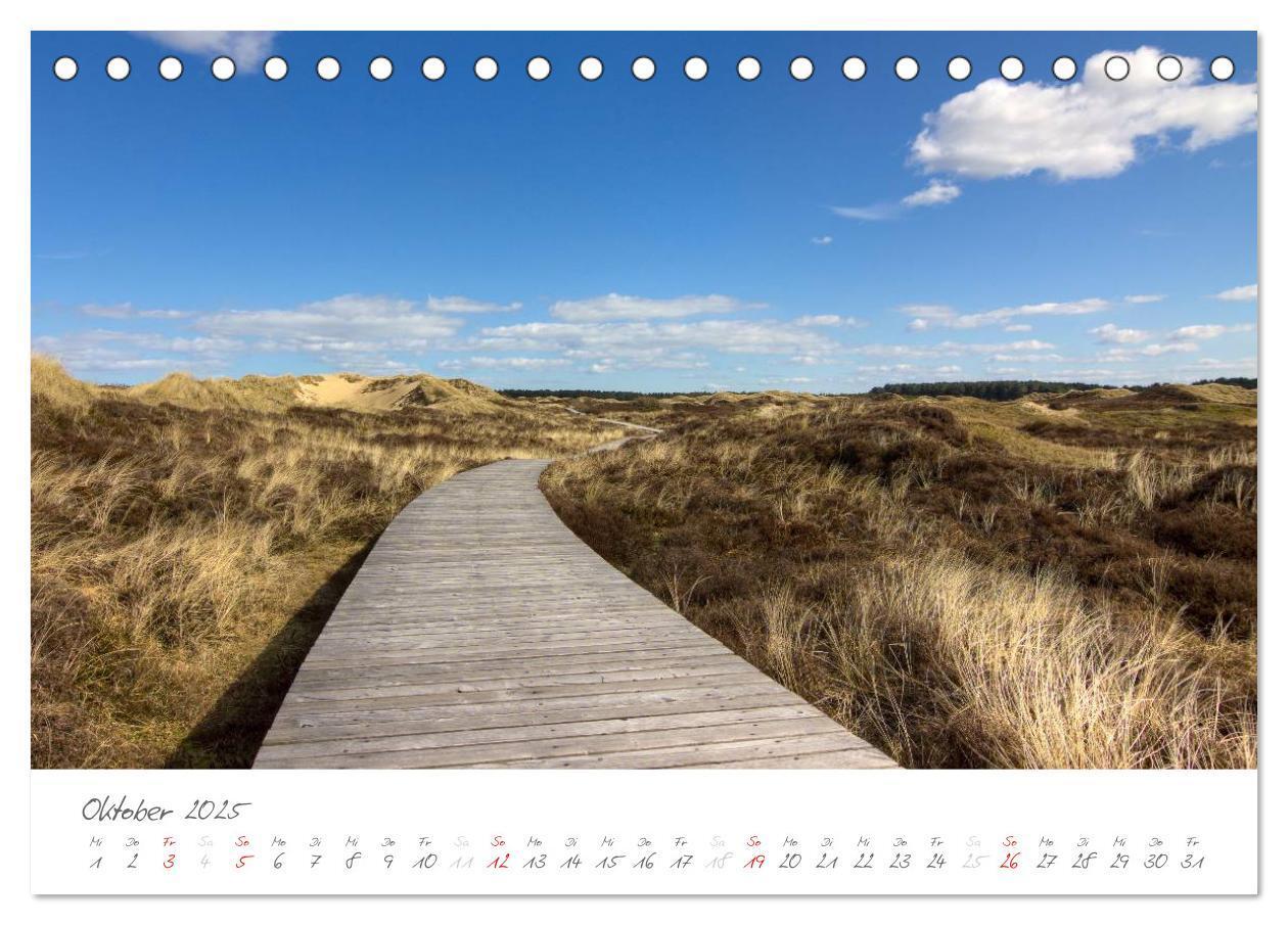 Bild: 9783435600427 | Amrum - Eine farbenfrohe Insellandschaft (Tischkalender 2025 DIN A5...