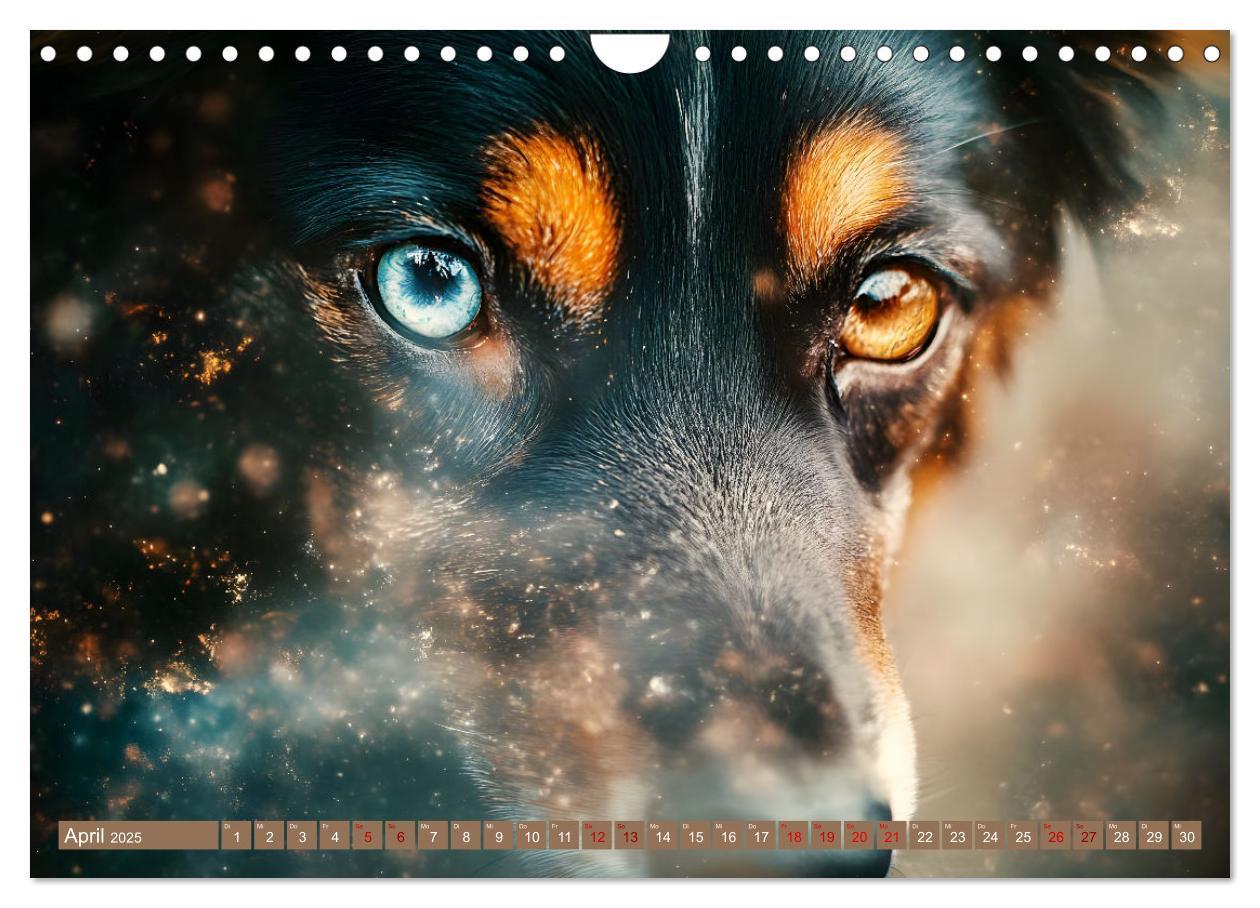 Bild: 9783457241936 | Tierische Balance (Wandkalender 2025 DIN A4 quer), CALVENDO...