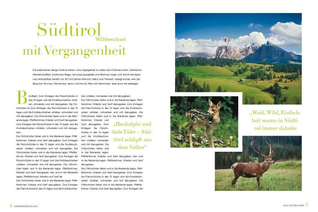 Bild: 9788868394226 | Unwiderstehlich Wild | Südtiroler Jagdverband | Buch | Vorlagebögen