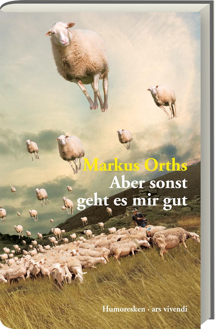 Cover: 9783869138534 | Aber sonst geht es mir gut | Humoresken | Markus Orths | Buch | 2018