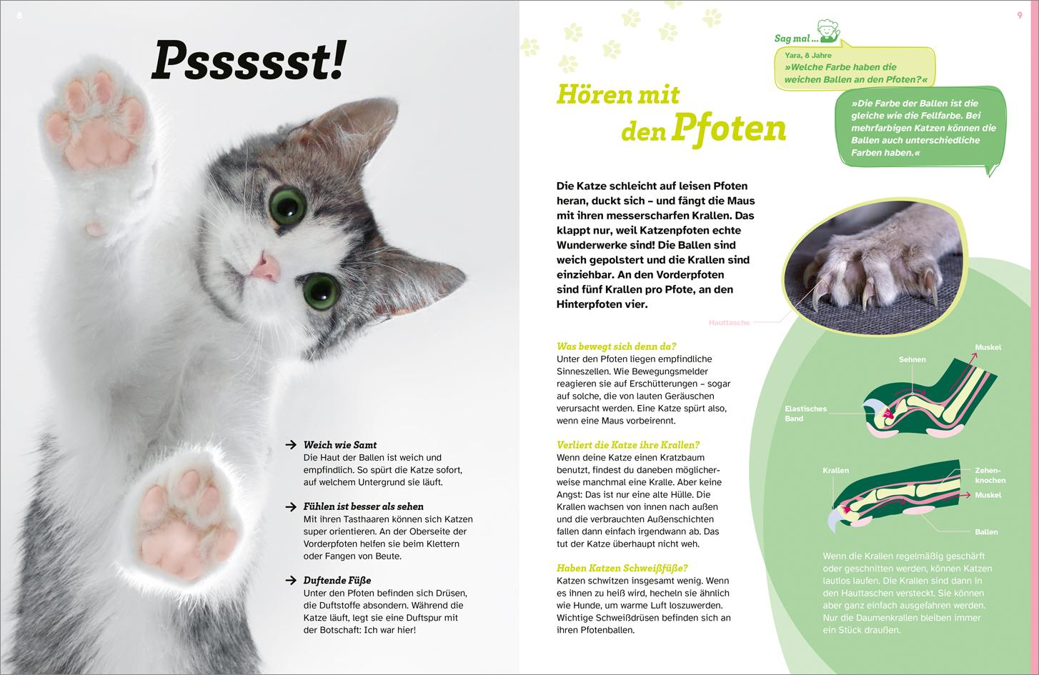 Bild: 9783788681760 | WAS IST WAS Katzen. Eigenwillige Schnurrer | Judith Weber | Buch