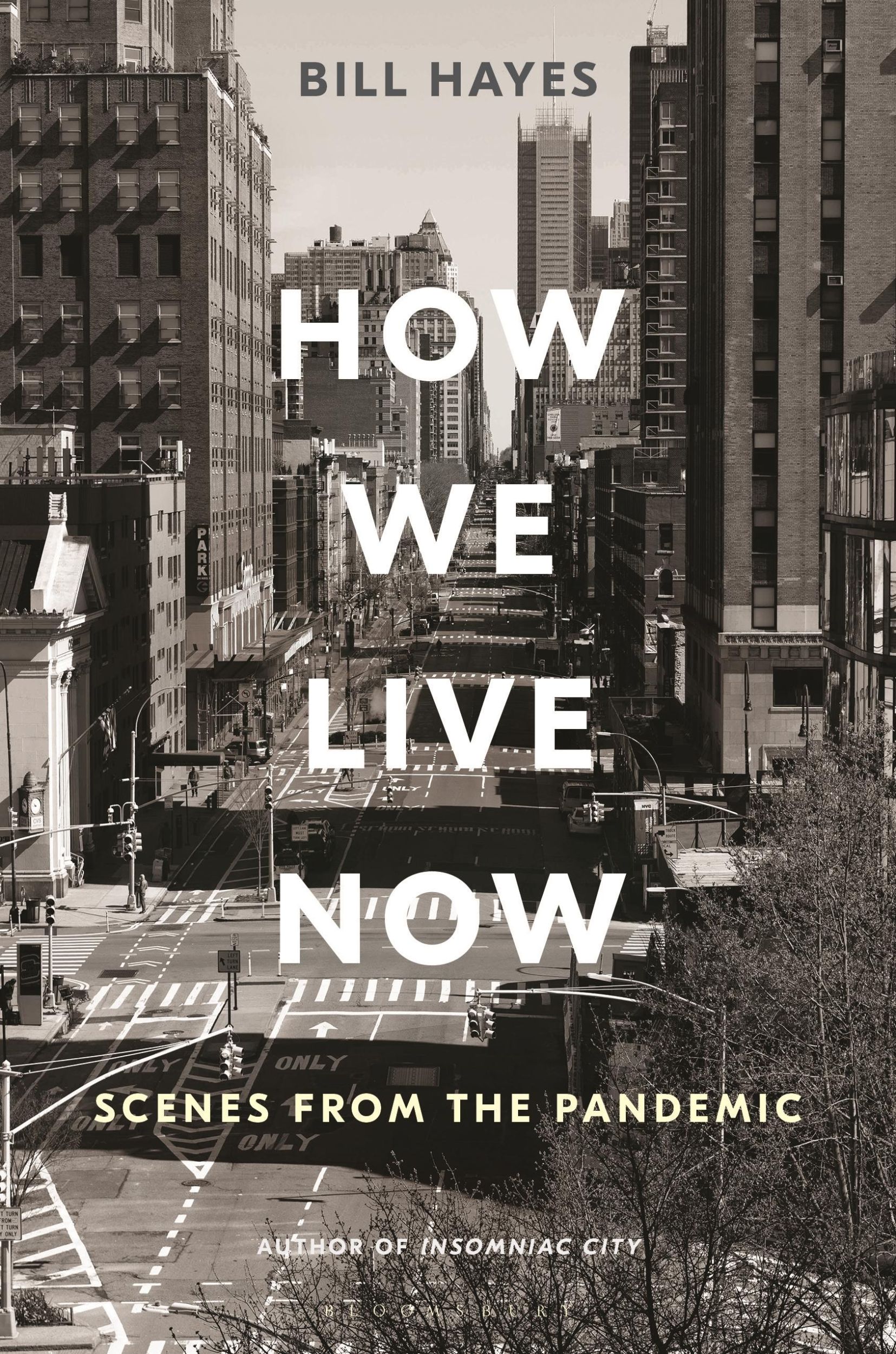 Cover: 9781635576887 | How We Live Now | Scenes from the Pandemic | Bill Hayes | Buch | 2020