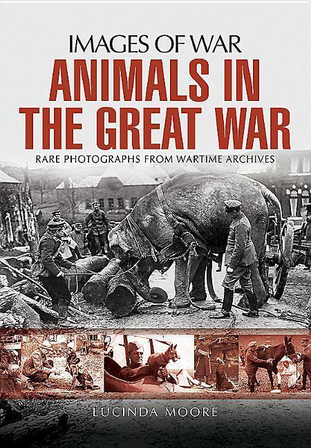 Cover: 9781473862111 | Animals in the Great War | Lucinda Moore | Taschenbuch | Englisch