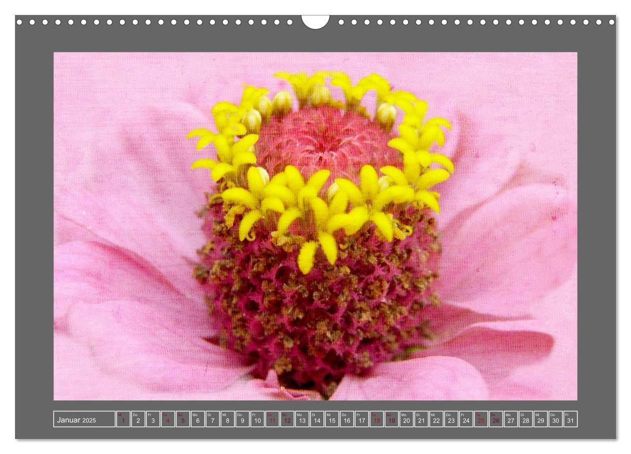 Bild: 9783435835409 | Blumen für dich (Wandkalender 2025 DIN A3 quer), CALVENDO...