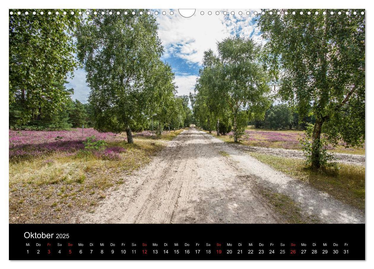 Bild: 9783435775415 | Lüneburger Heide (Wandkalender 2025 DIN A3 quer), CALVENDO...